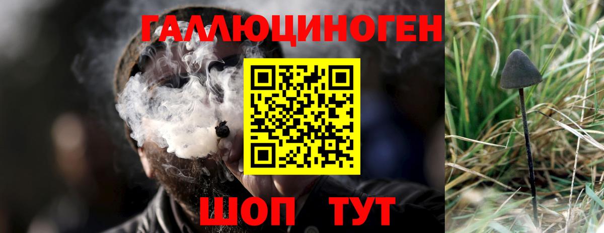 Галлюциногенные грибы мухоморы  закладки  Вход с VPN  Алушта  Галлюциногенные грибы мухоморы 